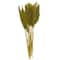 Dried Plant Bamboo Natural Foliage with Long Stems